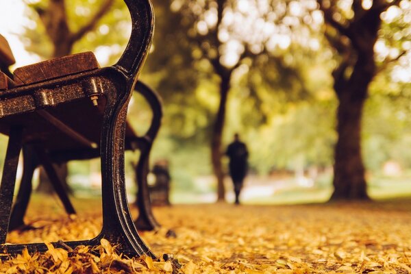 Bank im Herbstpark