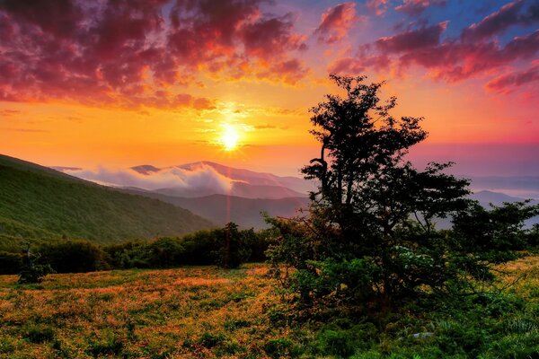 Le soleil se lève dans la belle vallée