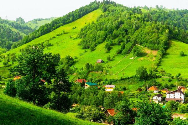 Montagne verdi e piccolo insediamento