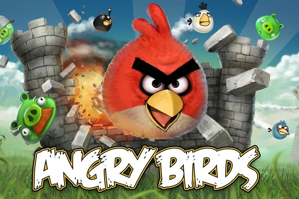 Angry birds sketch