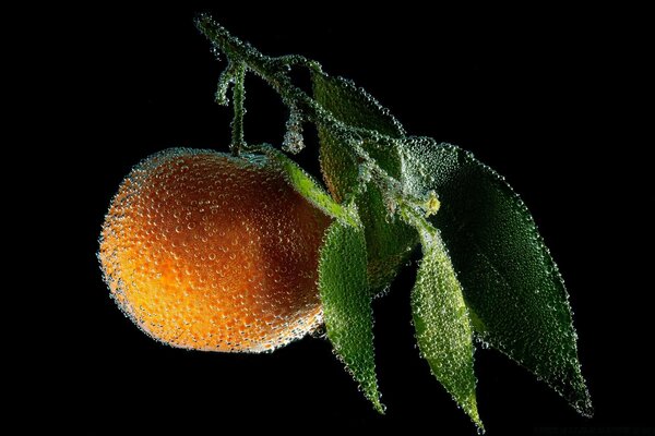 Macro-shooting of a ripe peach on a branch in drops of water