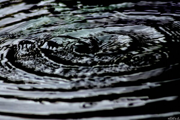 Textura del agua. Caída de gotas de lluvia