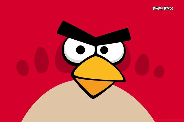 Funny picture of the main character of the cartoon angry birds