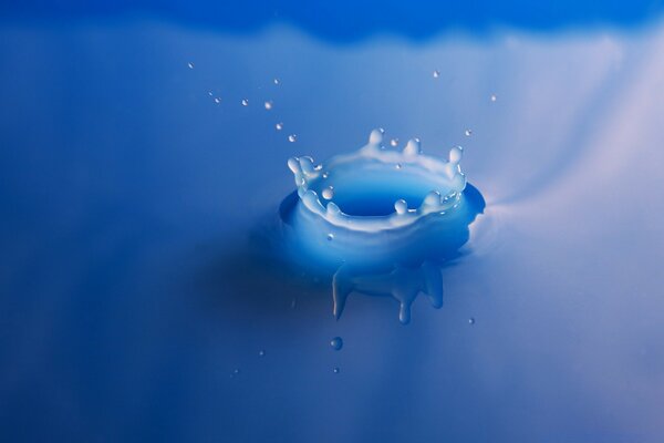 Petite goutte d eau dans la mer