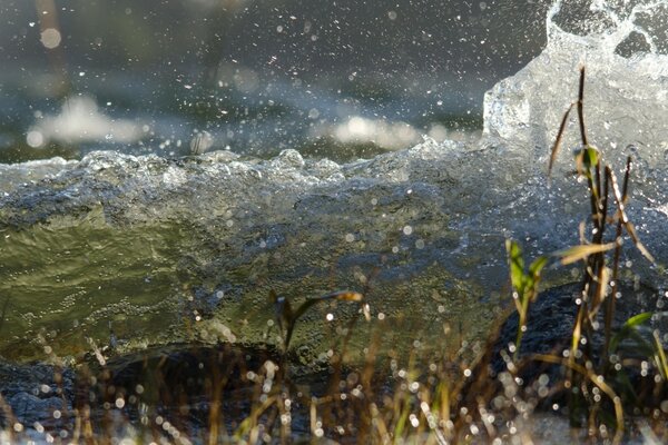 Éclaboussures d eau bouchent