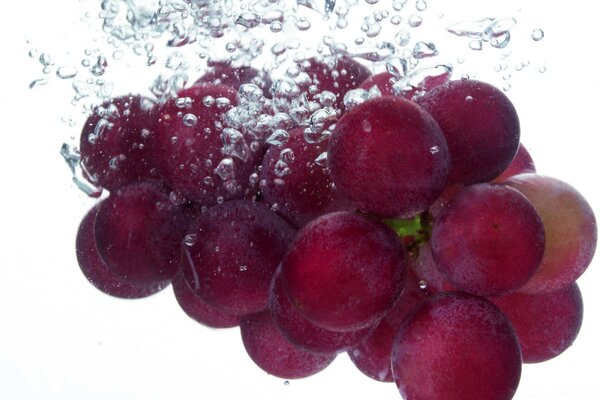 Plum-colored grapes in water