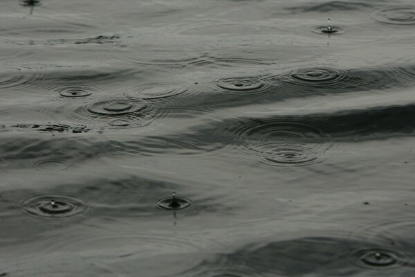 Raindrops fall on the water