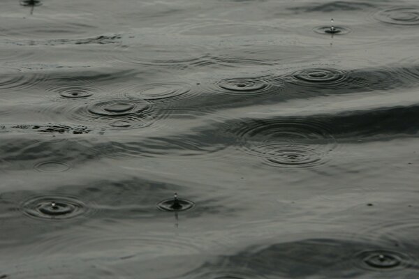Капли дождя падают на воду