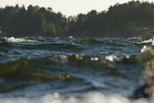 Macro fotografía de olas de espuma Marina