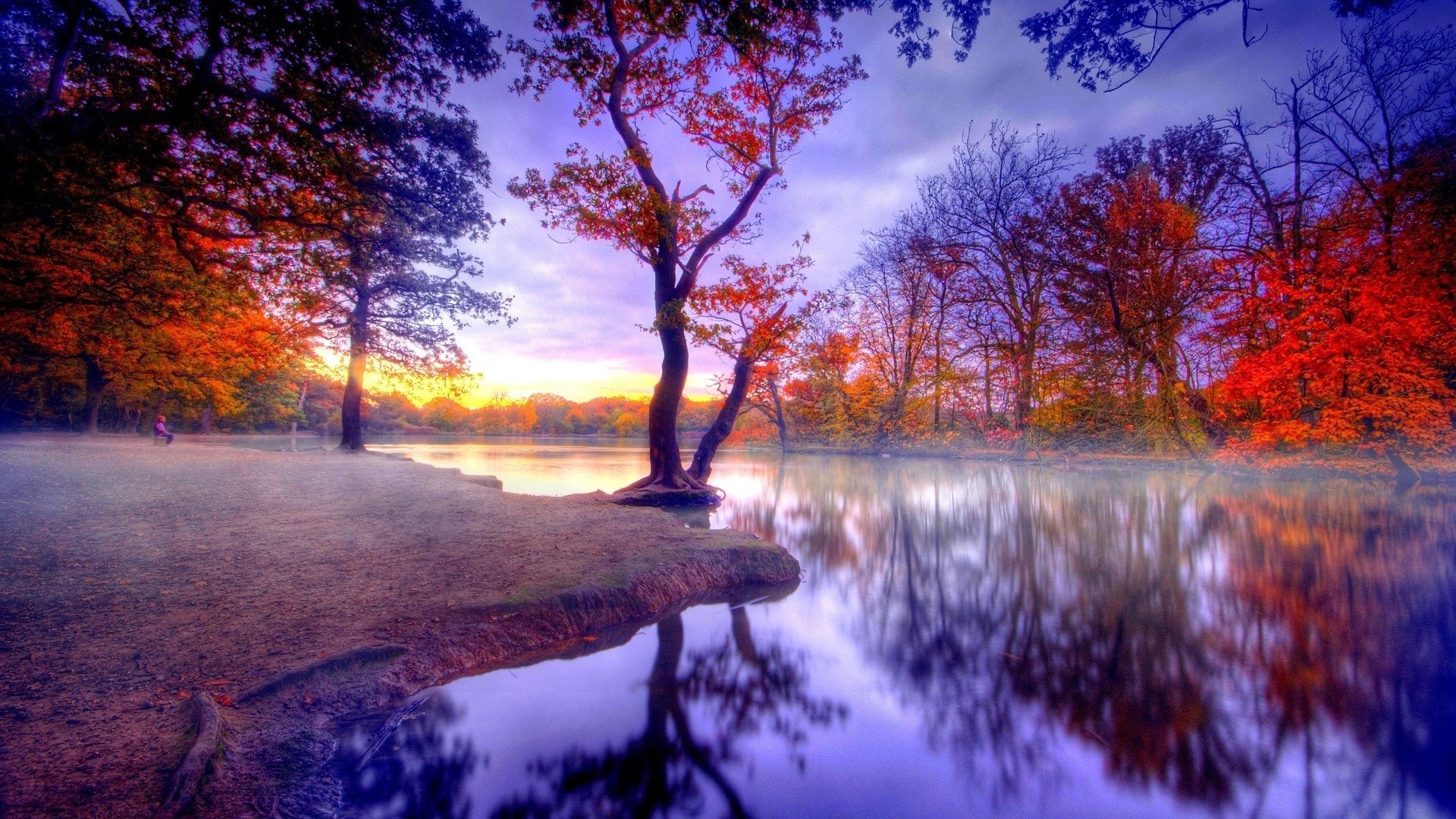 lac arbre paysage aube bois automne nature scénique réflexion eau parc branche soirée saison en plein air coucher de soleil feuille beau temps