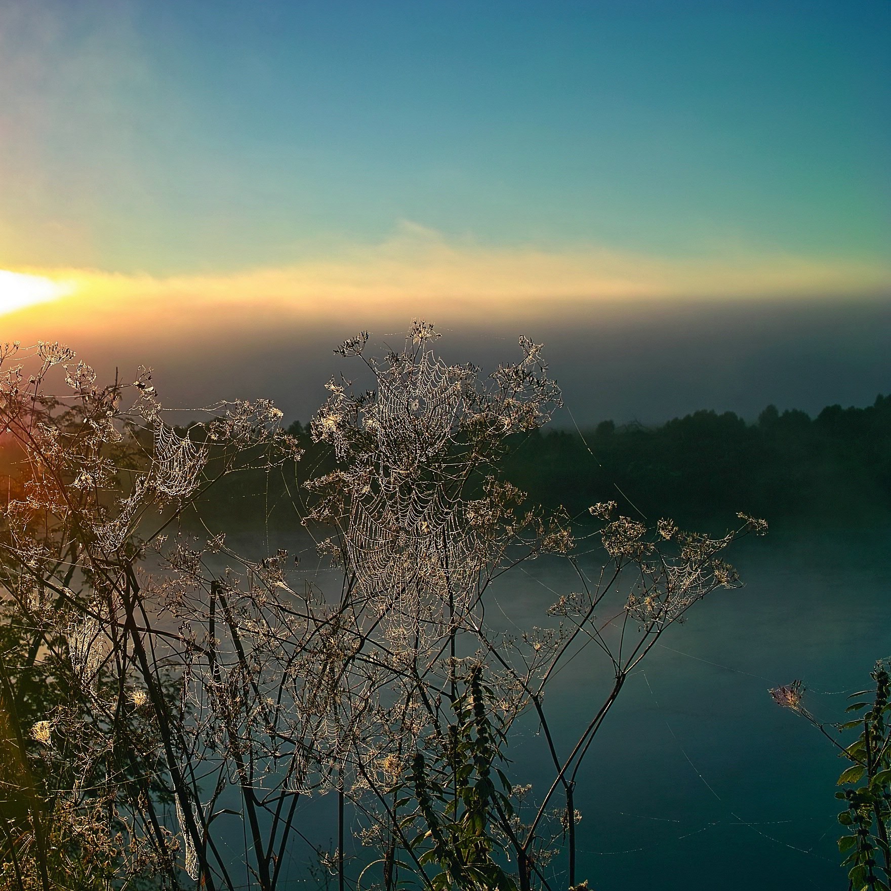 tramonto e alba tramonto alba sole acqua paesaggio natura lago cielo sera estate crepuscolo albero bel tempo nebbia viaggi luce riflessione spiaggia mare