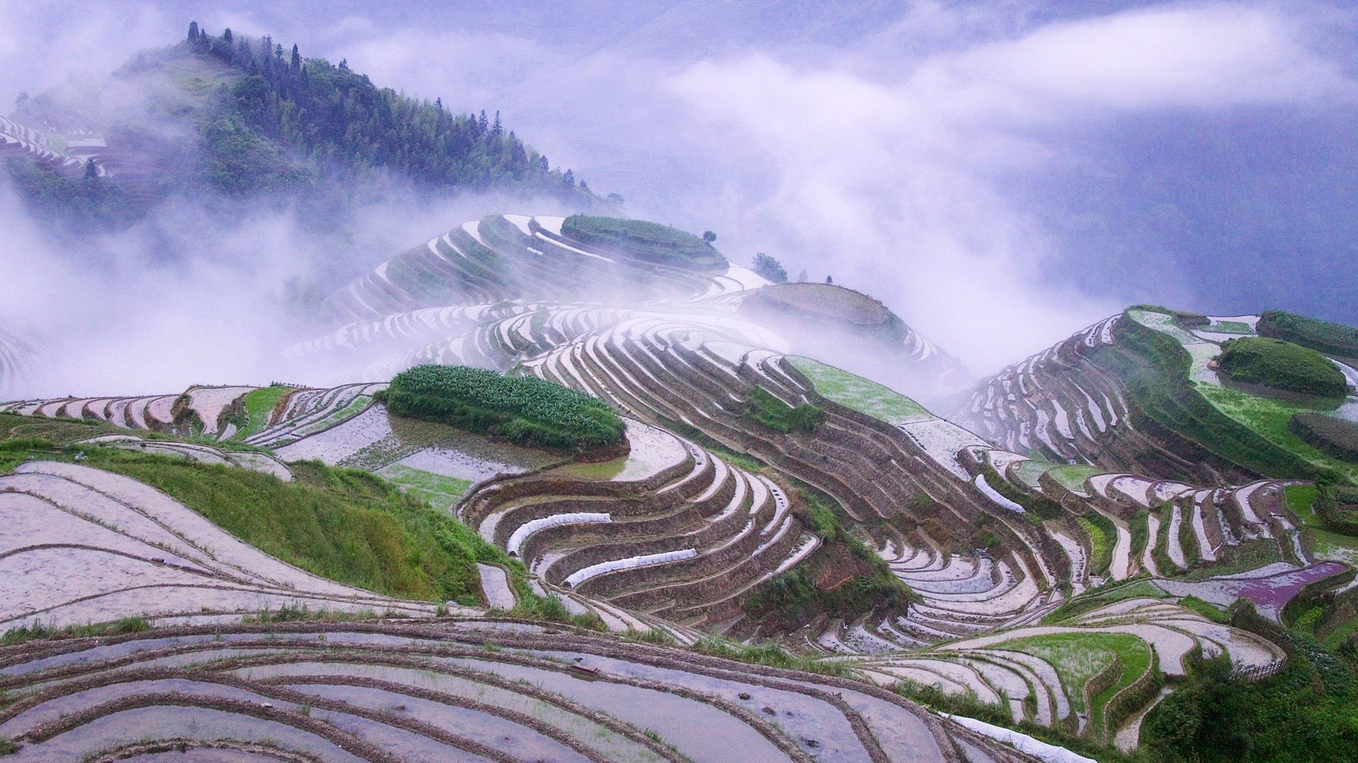 风景 风景 旅游 自然 天空 山 美丽 树 山 水 奇观 户外 风景