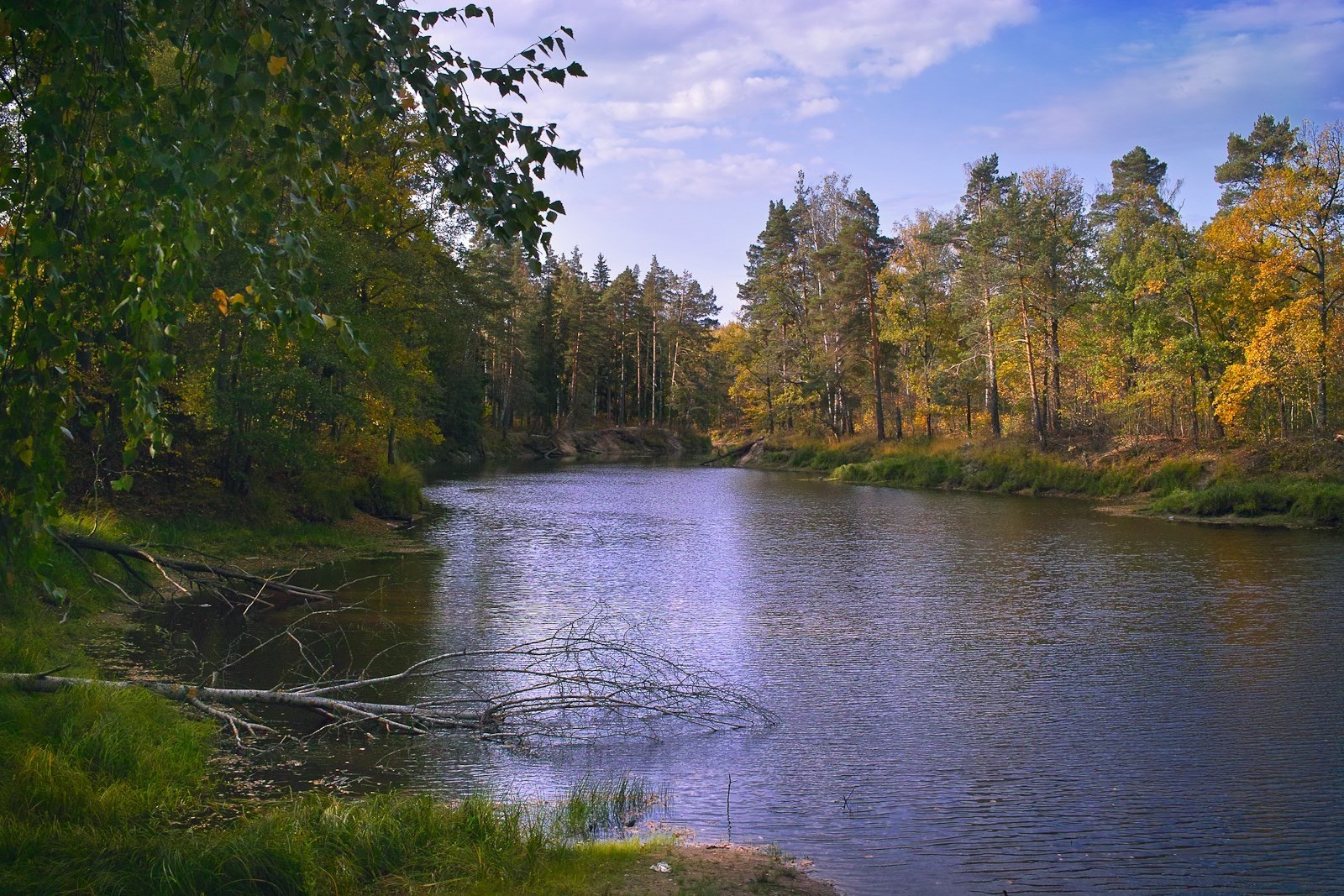 озера води дерево осінь річка пейзаж природа деревини відображення на відкритому повітрі лист мальовничий небо парк басейн денне світло холоднокровність подорожі