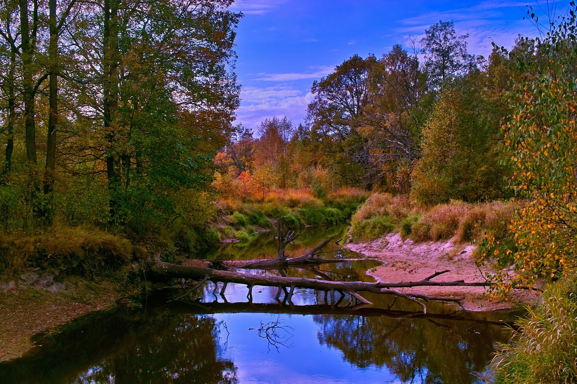 rzeki stawy i strumienie stawy i strumienie woda drzewo natura jesień jezioro krajobraz rzeka drewno liść odbicie na zewnątrz basen park malowniczy sezon świt