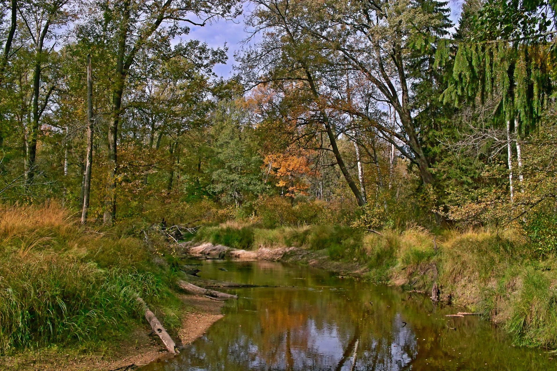 rivers ponds and streams nature landscape wood tree water outdoors river leaf scenic environment sky grass summer flora lake reflection park fair weather rural