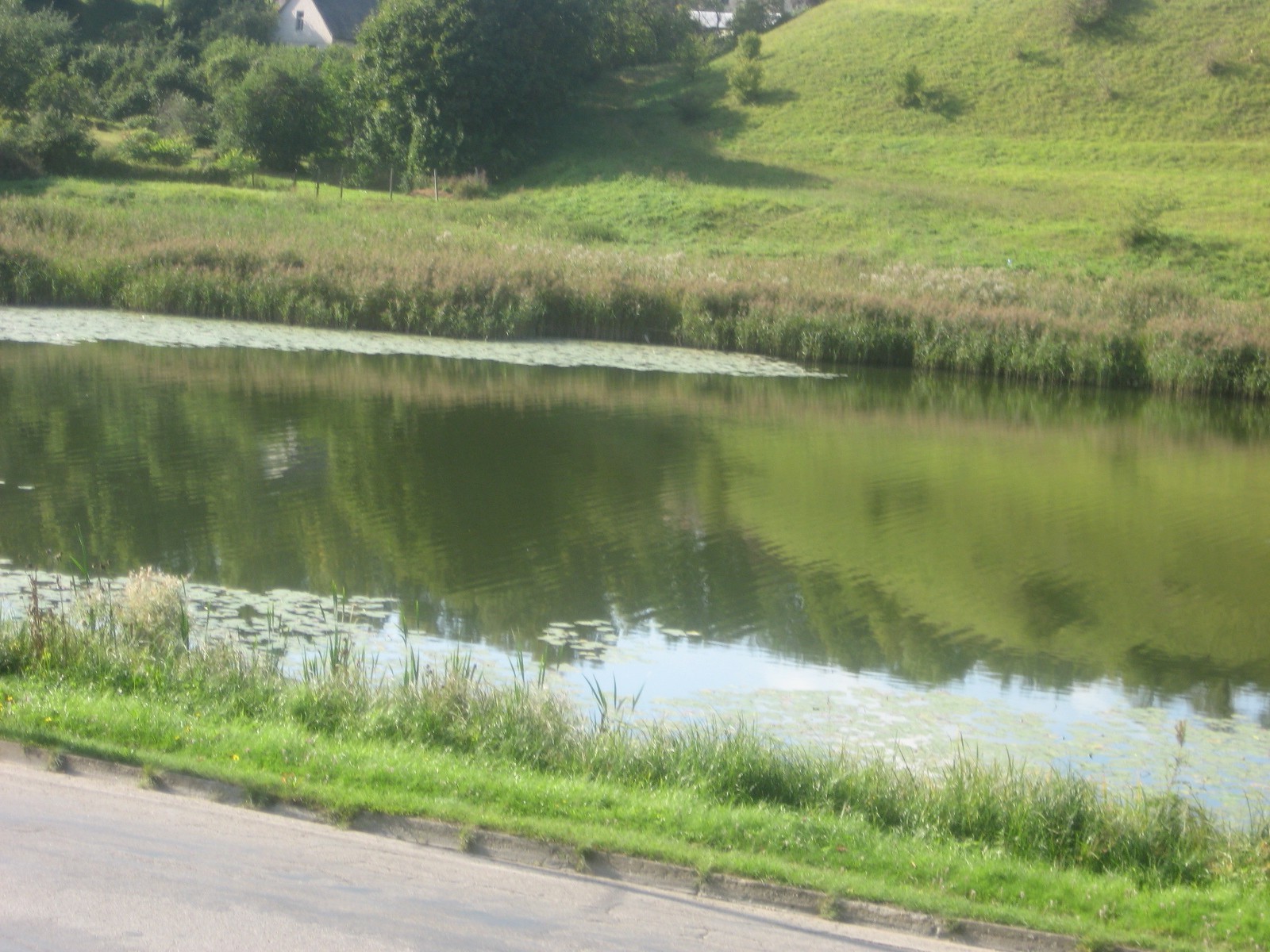 espacios nativos paisaje agua río lago reflexión naturaleza hierba viajes árbol al aire libre medio ambiente cielo