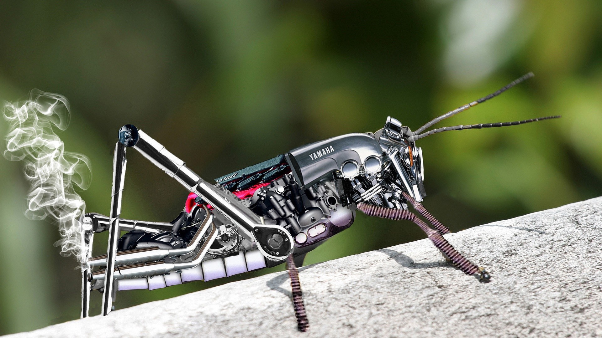 robots naturaleza al aire libre antena insecto