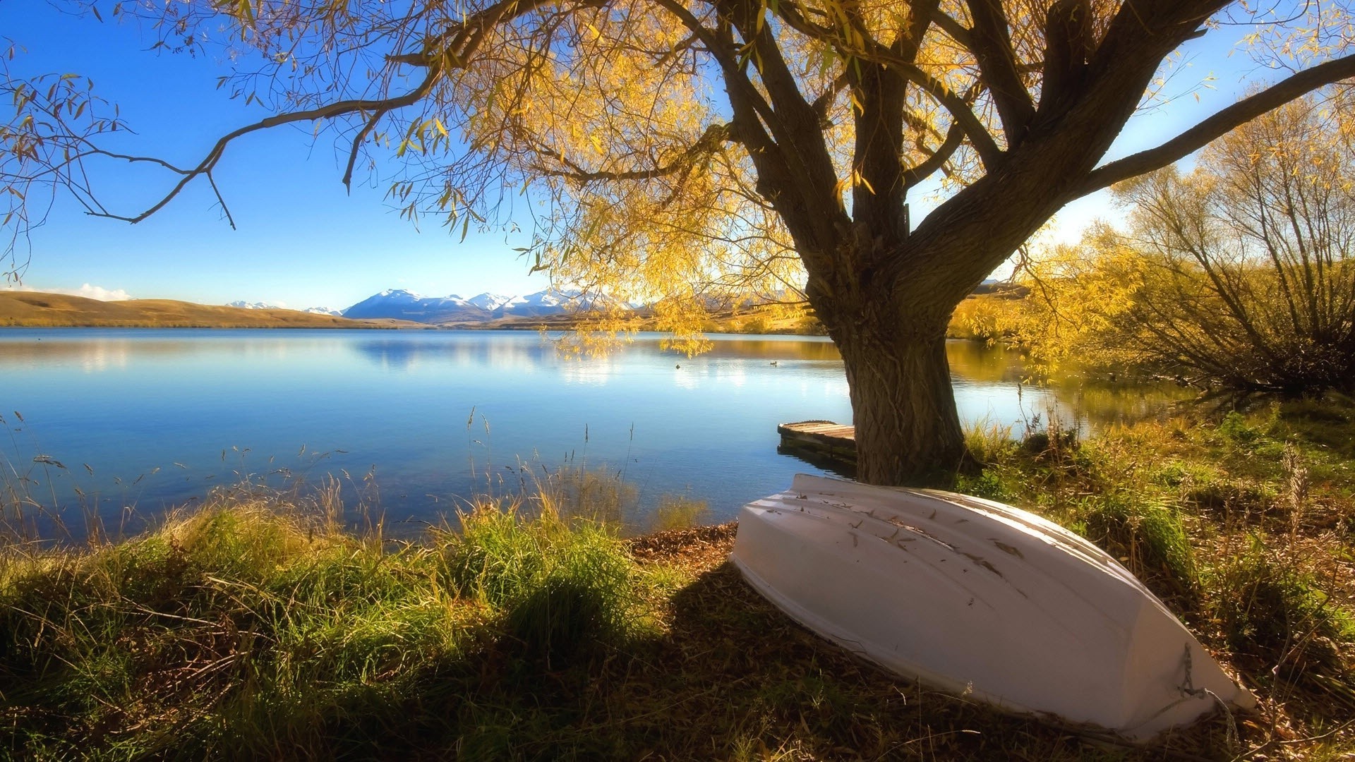 flüsse teiche und bäche teiche und bäche baum landschaft dämmerung herbst wasser see natur sonnenuntergang reflexion holz im freien abend blatt landschaftlich himmel sonne park