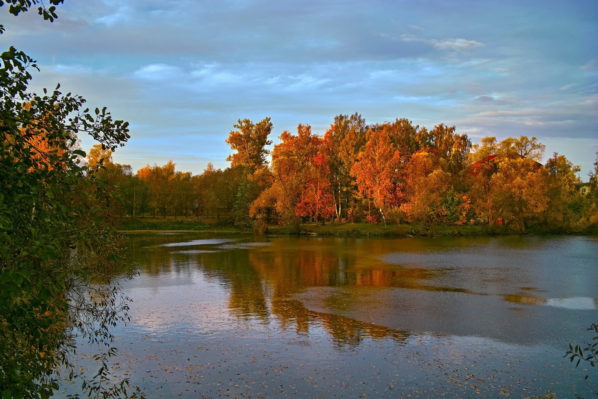 lago autunno albero natura paesaggio foglia acqua all aperto fiume legno alba scenico parco riflessione bel tempo freddo