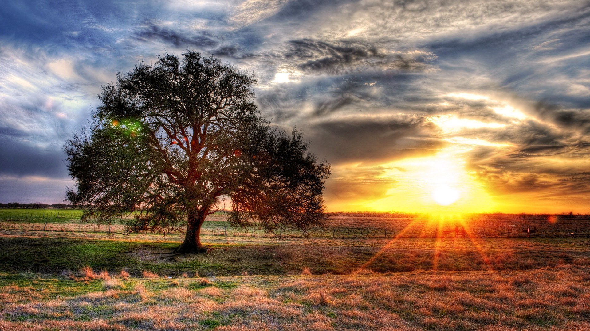 coucher du soleil et l aube soleil coucher de soleil aube paysage nature ciel arbre beau temps nuage rural lumineux soir