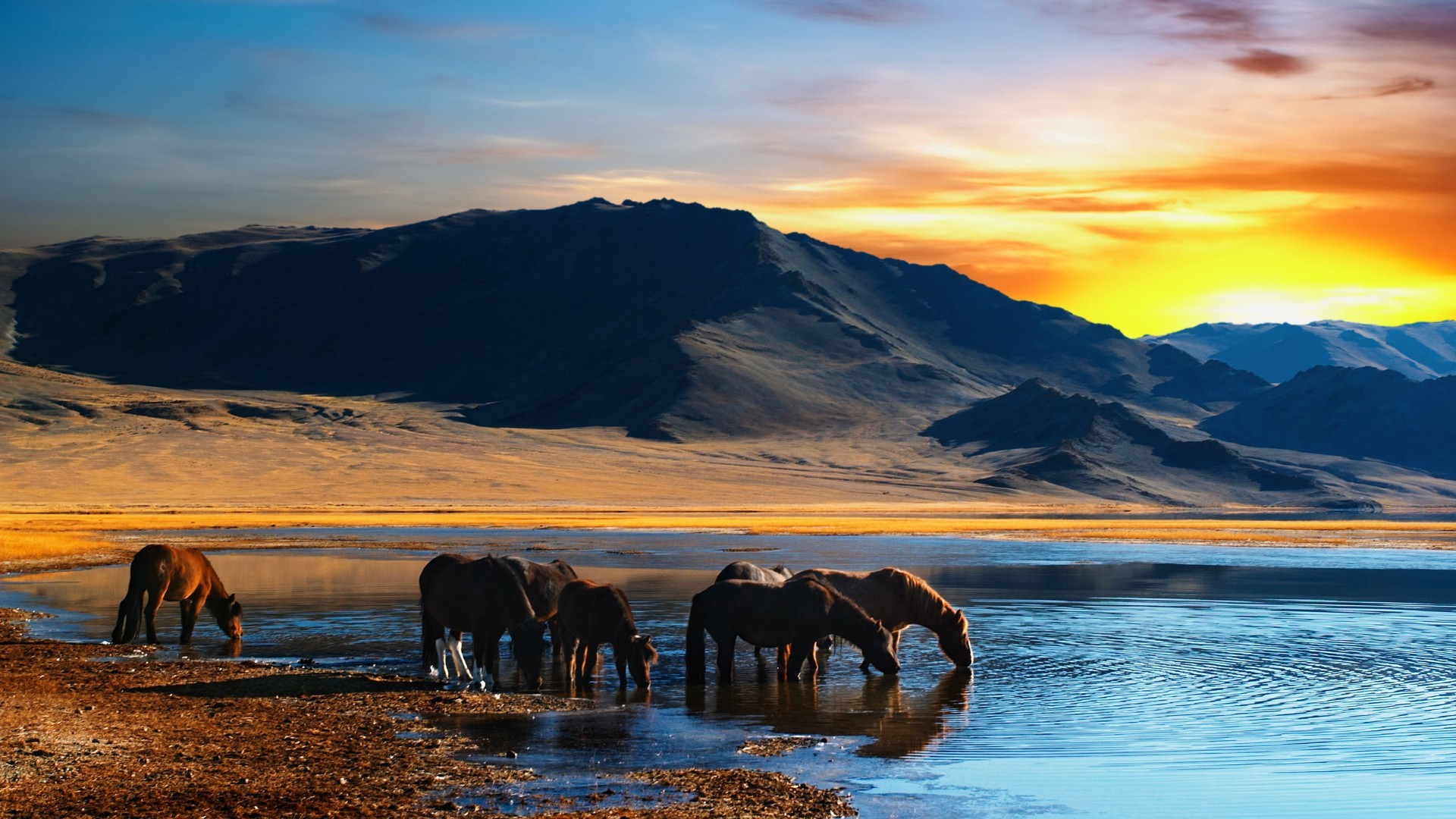 chevaux eau coucher de soleil voyage aube nature ciel à l extérieur paysage réflexion lac montagnes soir neige