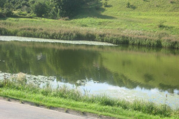 Lago. erva. colina. natureza