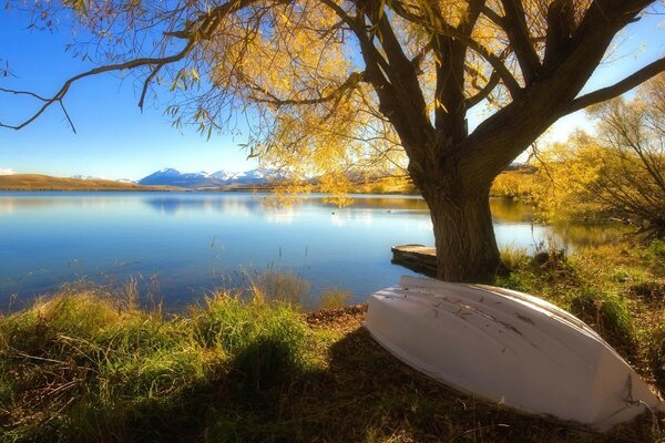 White boat on the lake shore