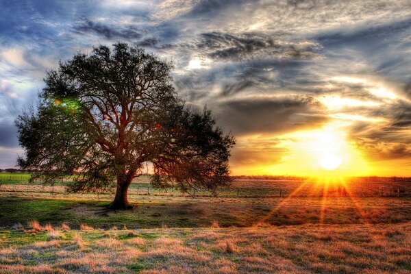 Sonnenuntergang im Sommer