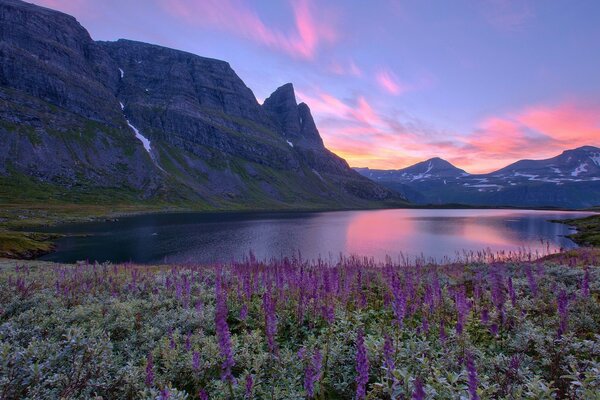 Eine Landschaft aus Blumen, Bergen und Wasser