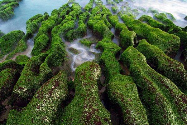 Magnifique lieu sauvage célèbre