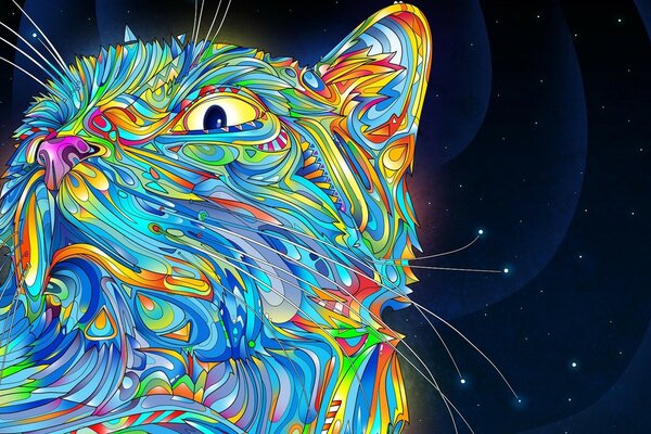 Space cat on the background of the universe