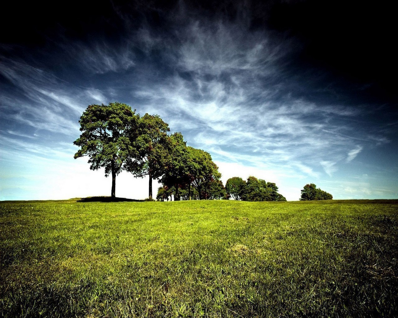 felder wiesen und täler baum landschaft natur gras himmel feld heuhaufen im freien landschaft ländliche licht wolke sonne