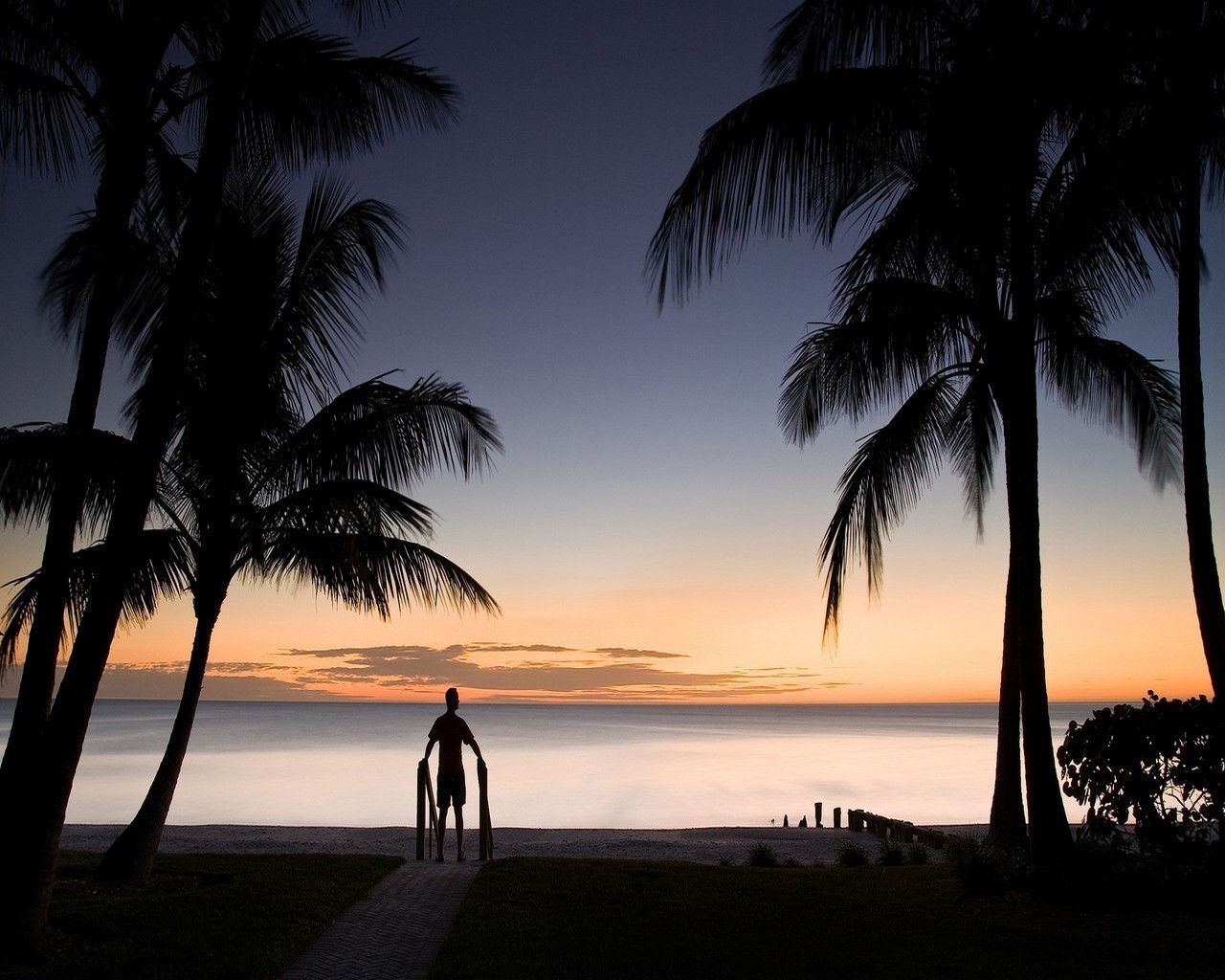 the sunset and sunrise beach sand ocean sun tropical seashore palm water travel island exotic seascape summer vacation idyllic relaxation sunset bay sea