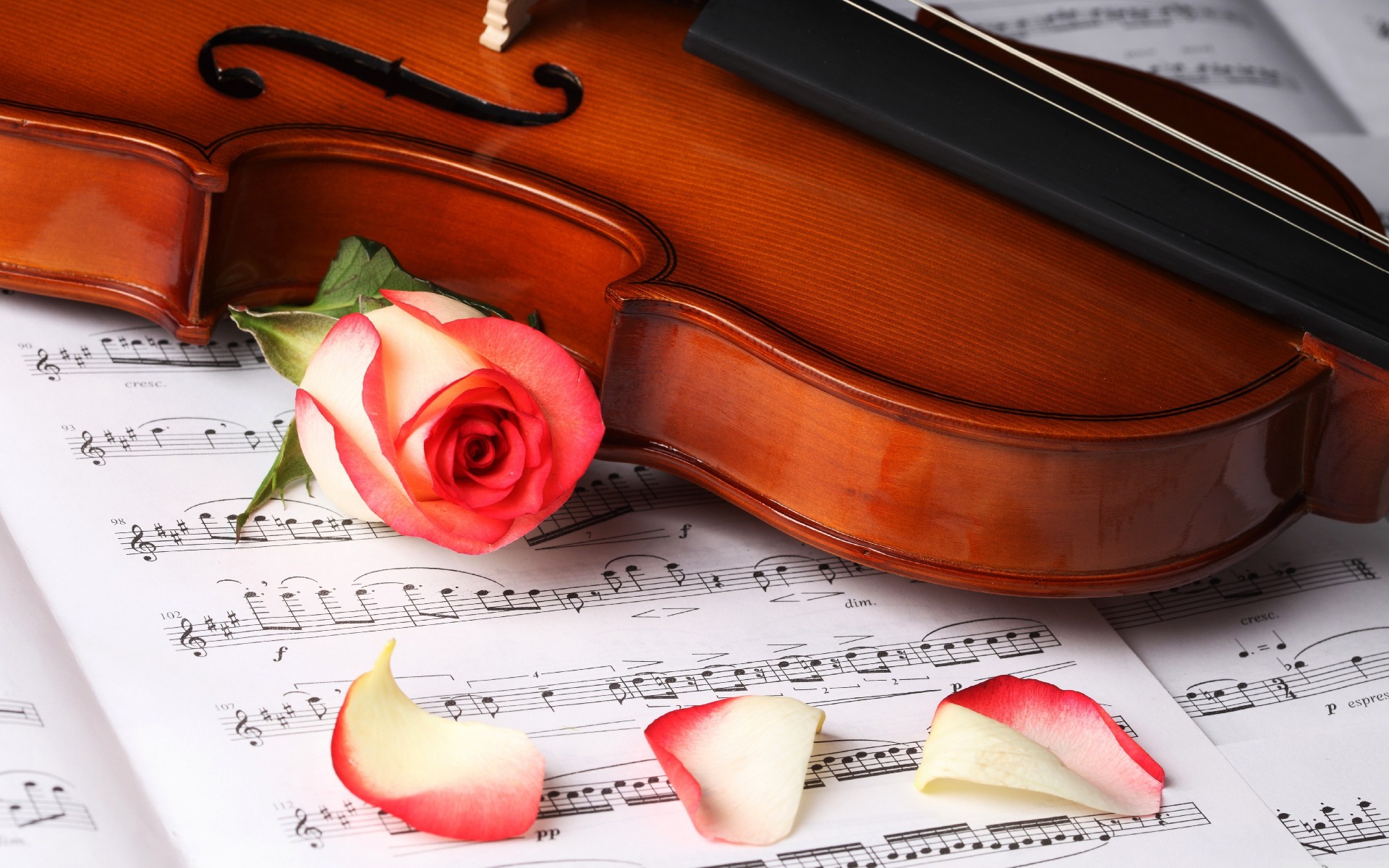 flowers wood paper classic instrument note