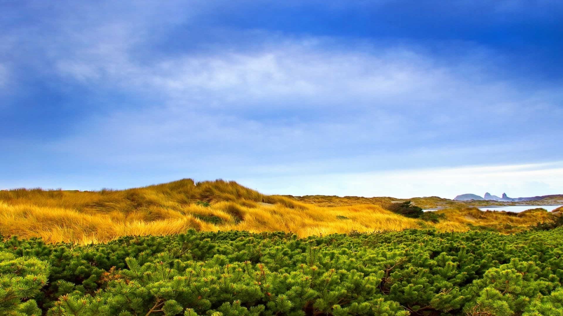 landschaft landschaft im freien bebautes land natur landwirtschaft himmel reisen landschaftlich weinberg aufstieg hügel sonnenuntergang tageslicht landschaft rebe baum