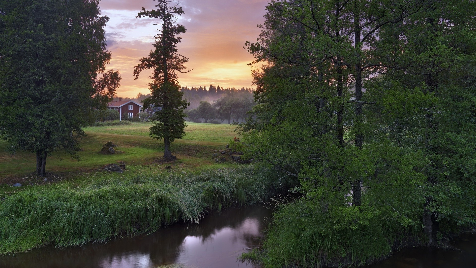 flüsse teiche und bäche teiche und bäche baum landschaft natur wasser im freien holz see fluss reflexion sommer gras park morgendämmerung reisen himmel