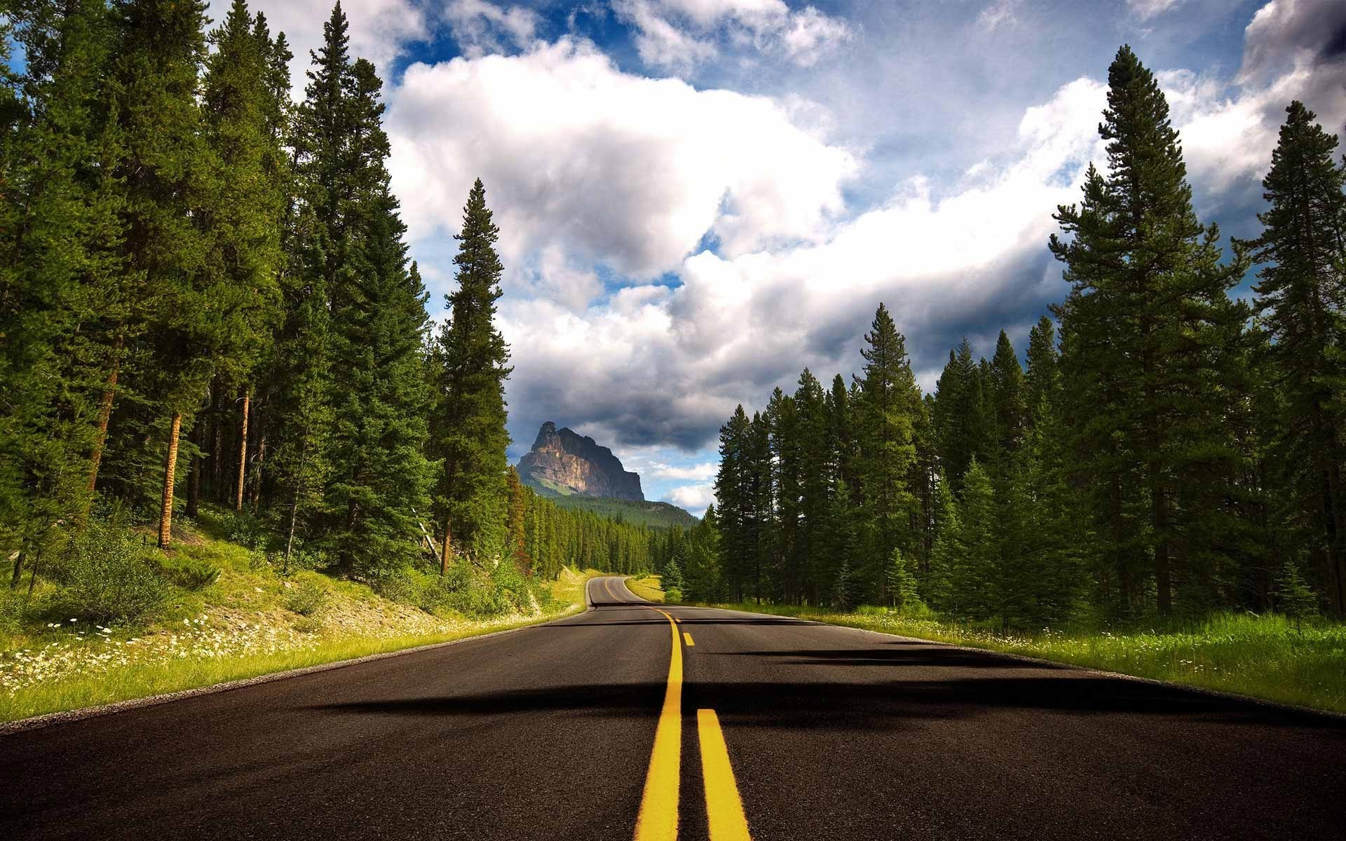 straße holz im freien baum natur berge reisen landschaft autobahn asphalt führung nadelholz schnee landschaftlich evergreen tageslicht