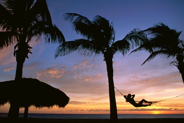 Sunset in the savannah by the palm tree