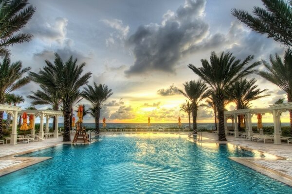 Blue water pool surrounded by palm trees