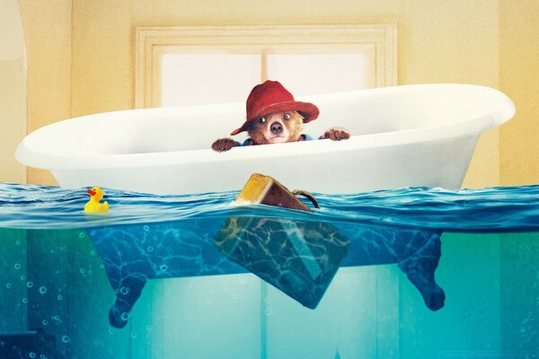 Paddington bear swims in the tub