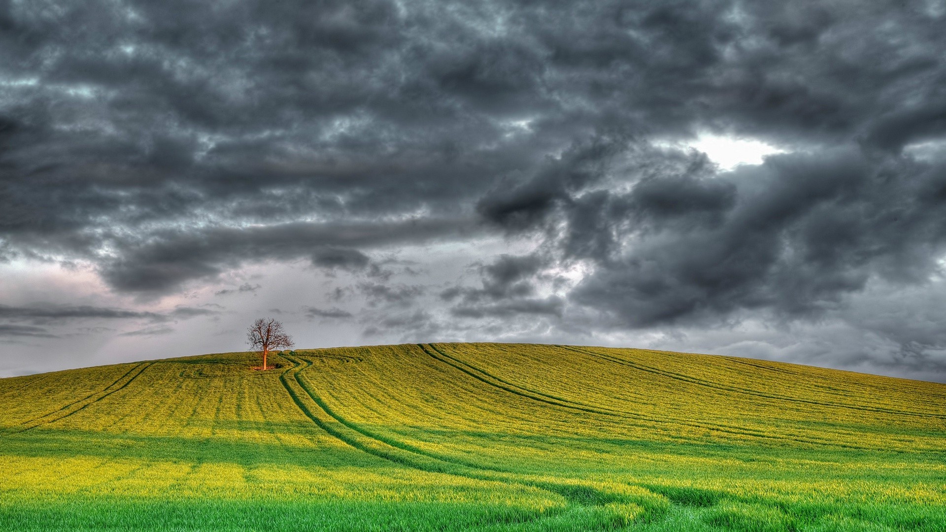 felder wiesen und täler des ländlichen landwirtschaft natur himmel feld landschaft landschaft gras bauernhof im freien weide weizen ackerland sommer bebautes land sonnenuntergang aufstieg sonne gutes wetter