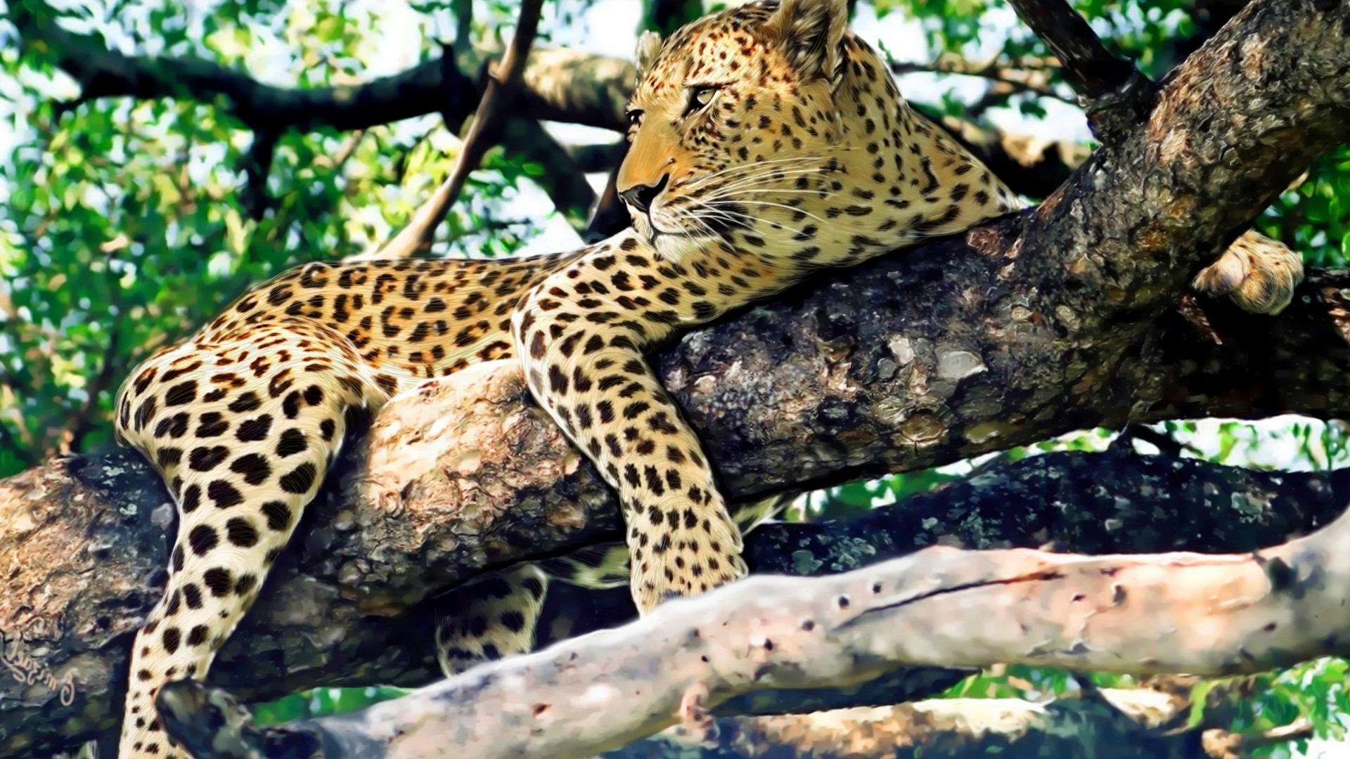 дерево животное природа леопард бесплатно
