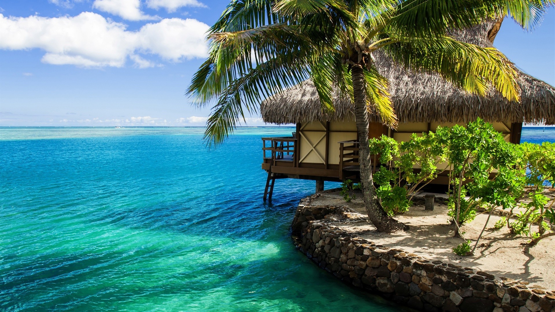 mer et océan tropical plage paradis île palm station balnéaire mer exotique océan vacances sable été voyage idyllique turquoise détente eau lagon noix de coco paysage