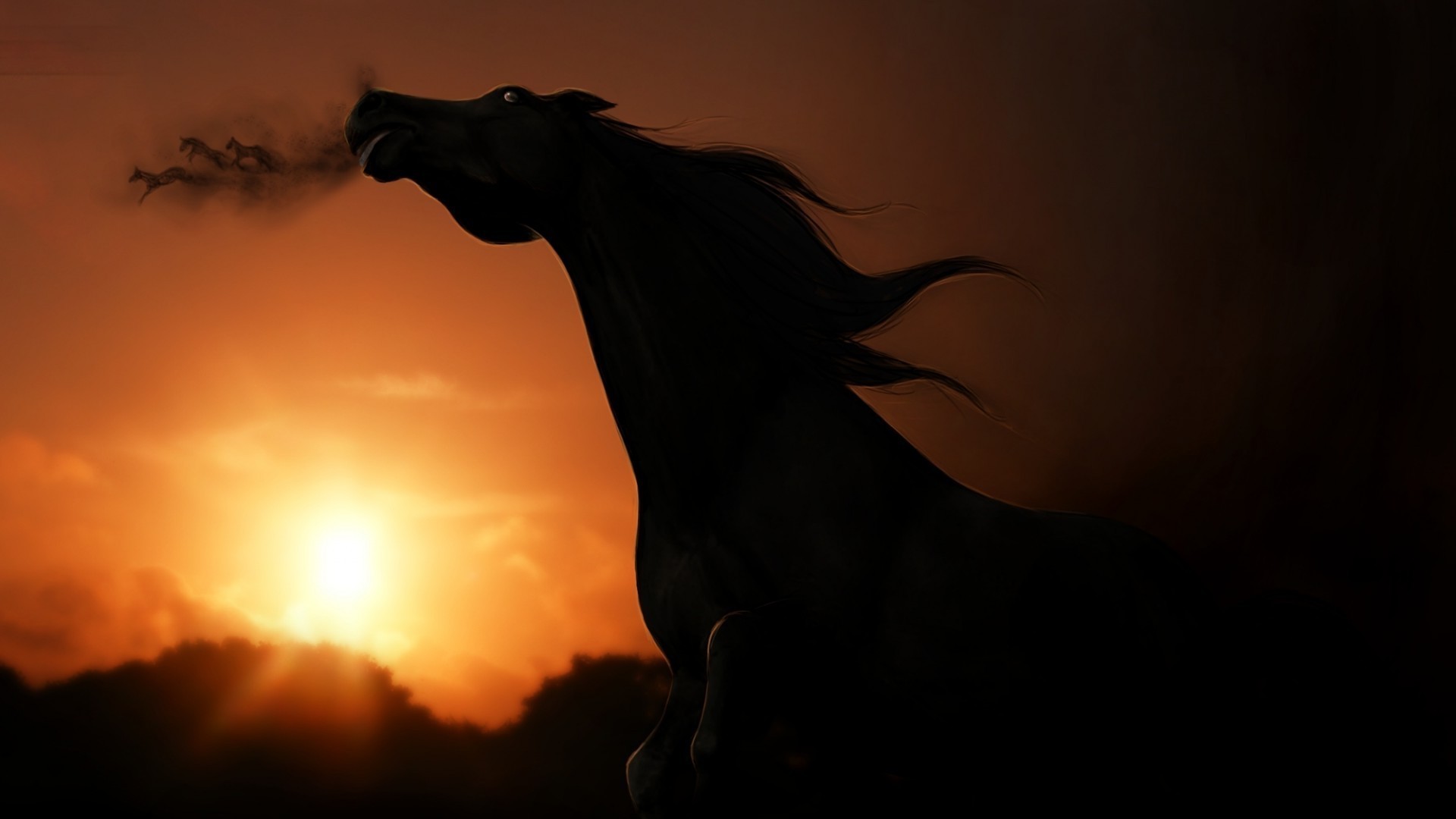 horses sunset silhouette cavalry backlit mare sun evening dawn sky mammal dusk equestrian one stallion portrait