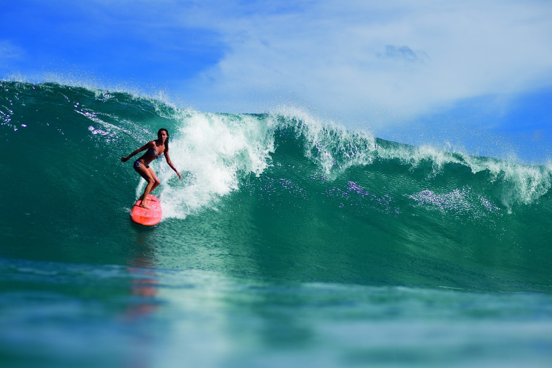 surfing surf woda akcja wakacje podróże morze ocean wakacje przygoda