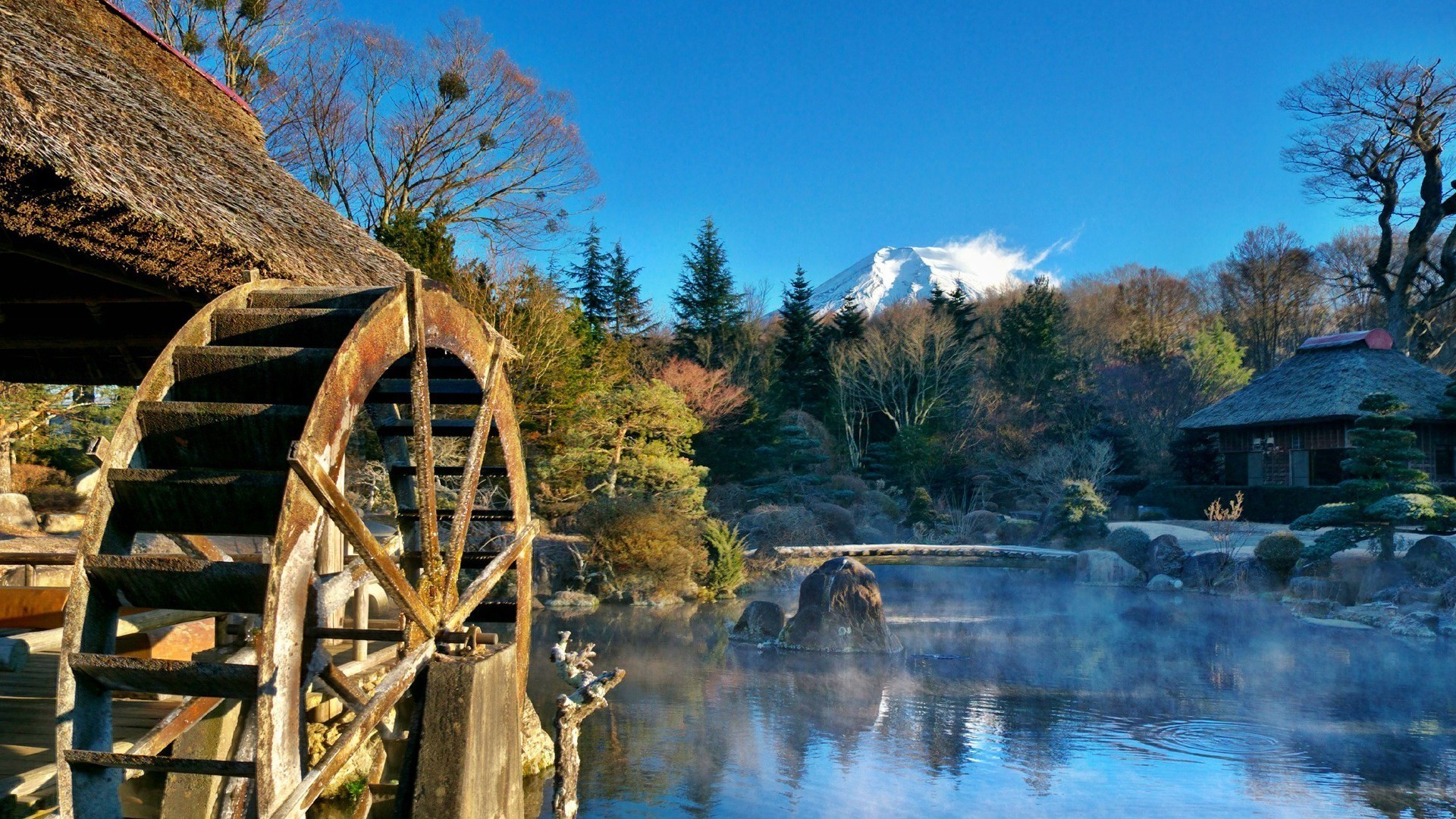 rivers ponds and streams wood water tree outdoors travel landscape nature river lake wooden fall sky scenic park