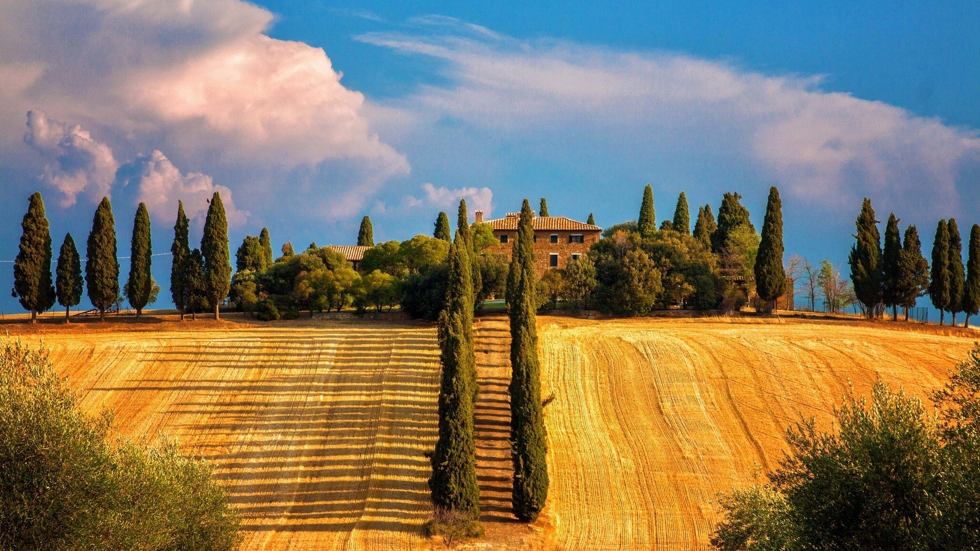 otoño al aire libre árbol naturaleza cielo viajes madera paisaje puesta de sol campo ciprés rural verano otoño agricultura amanecer buen tiempo noche escénico