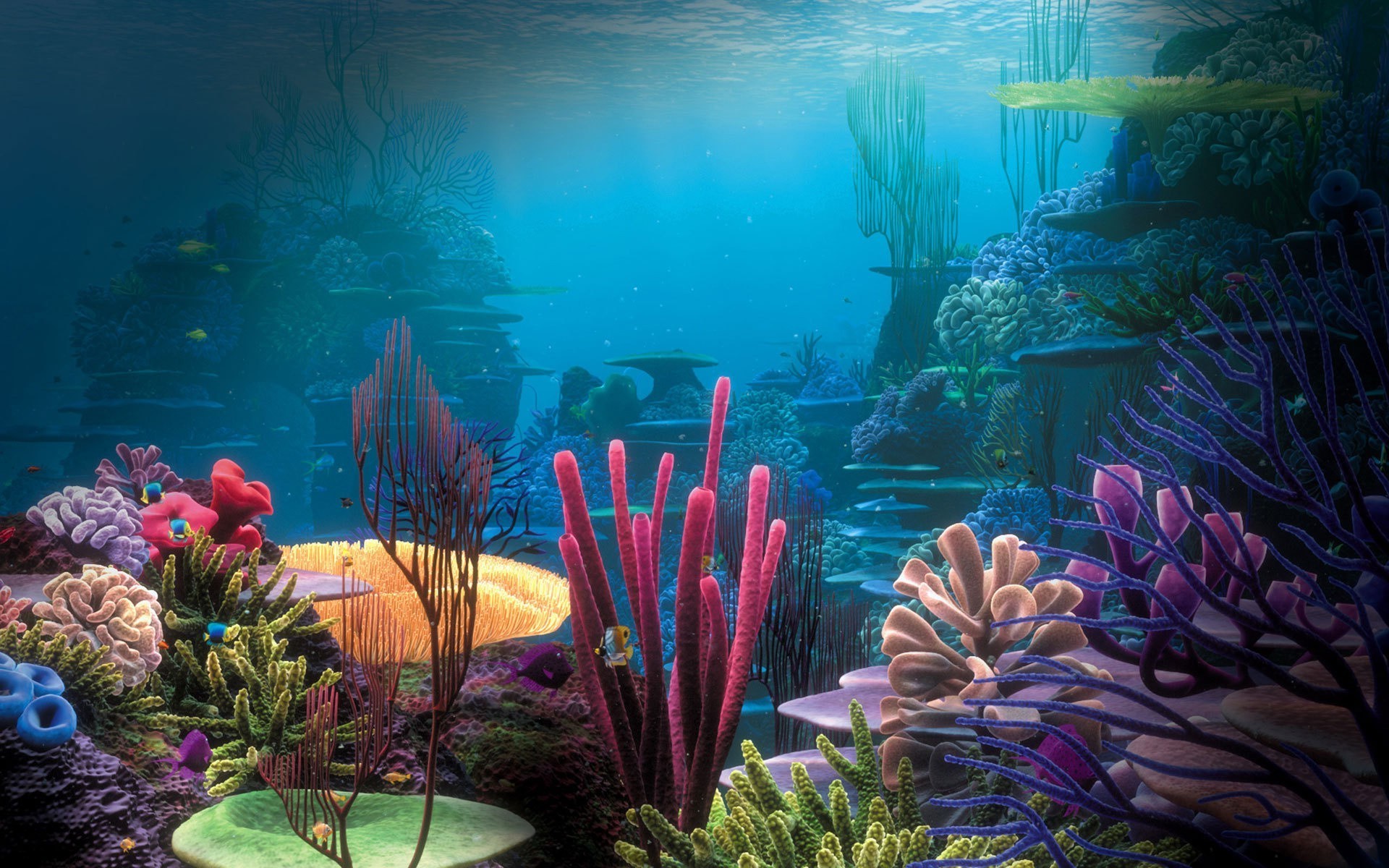 обитатели океанов и рек подводный рыбы океан коралловый воды риф море тропический аквариум морской плавание дайвинг беспозвоночных водный среды подводная лодка скуба цвет пейзаж