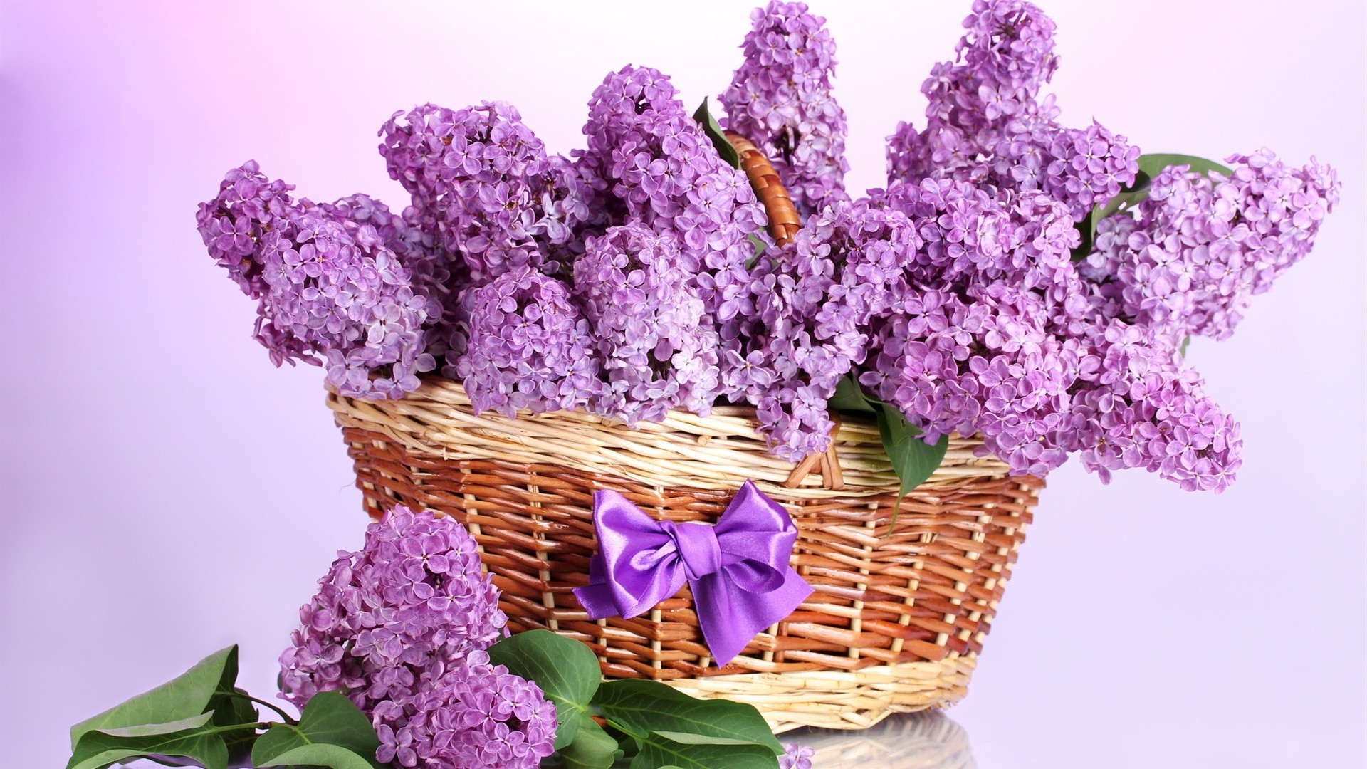 in a vase or pot flower nature bouquet easter lavender basket flora decoration purple cluster floral color leaf close-up desktop freshness season garden