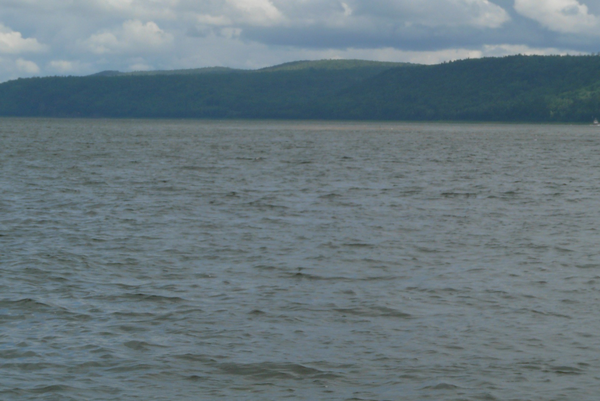 rivières étangs et ruisseaux étangs et ruisseaux eau lac oiseau réflexion paysage nature rivière à l extérieur mer ciel brouillard océan lumière du jour voyage